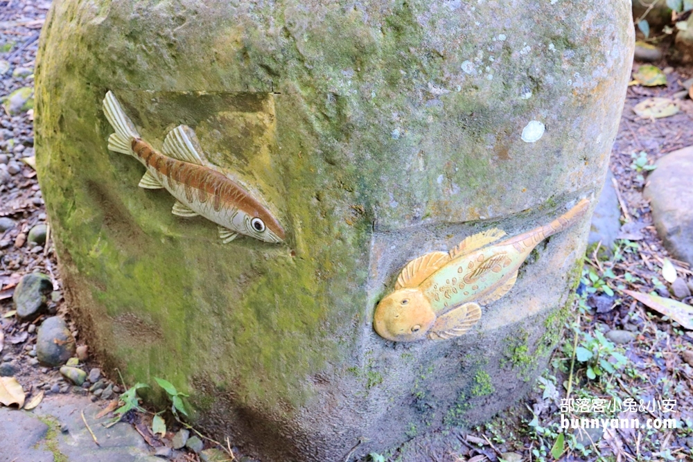 苗栗蓬萊溪護魚步道，漫步森林溪畔旁，大口呼吸森有氧
