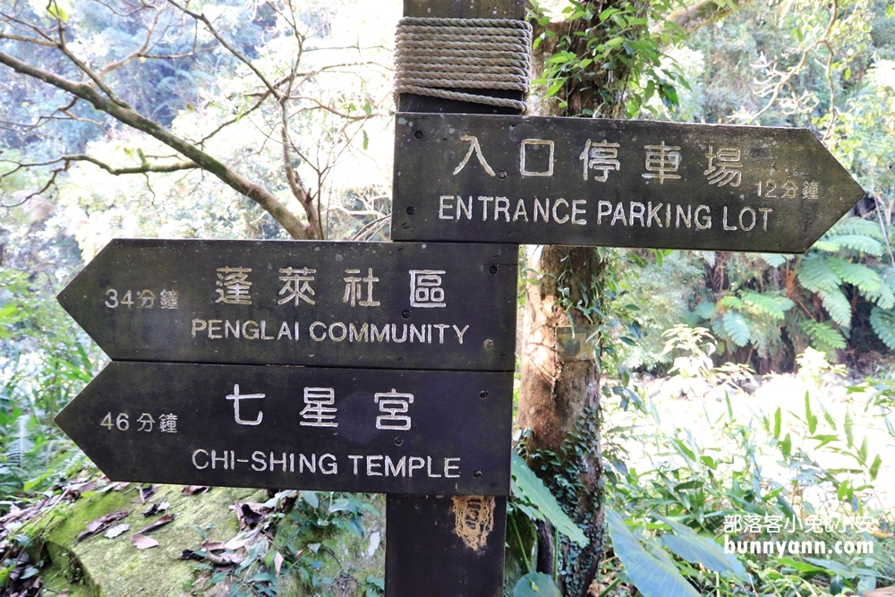 苗栗蓬萊溪護魚步道，漫步森林溪畔旁，大口呼吸森有氧