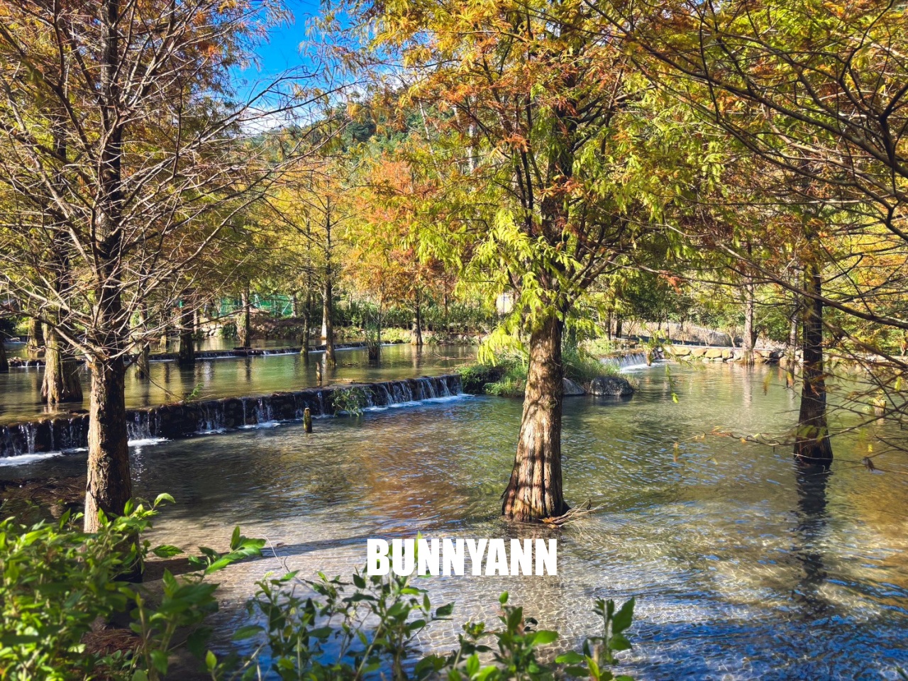 宜蘭「三層坪農塘教育園區」漫步階梯水塘落羽松小徑 宜蘭「三層坪農塘教育園區」漫步階梯水塘落羽松小徑