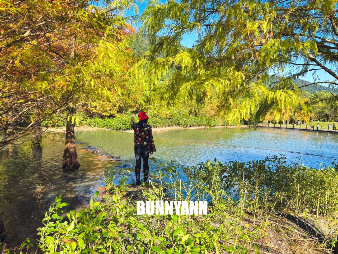 宜蘭「三層坪農塘教育園區」漫步階梯水塘落羽松小徑 宜蘭「三層坪農塘教育園區」漫步階梯水塘落羽松小徑