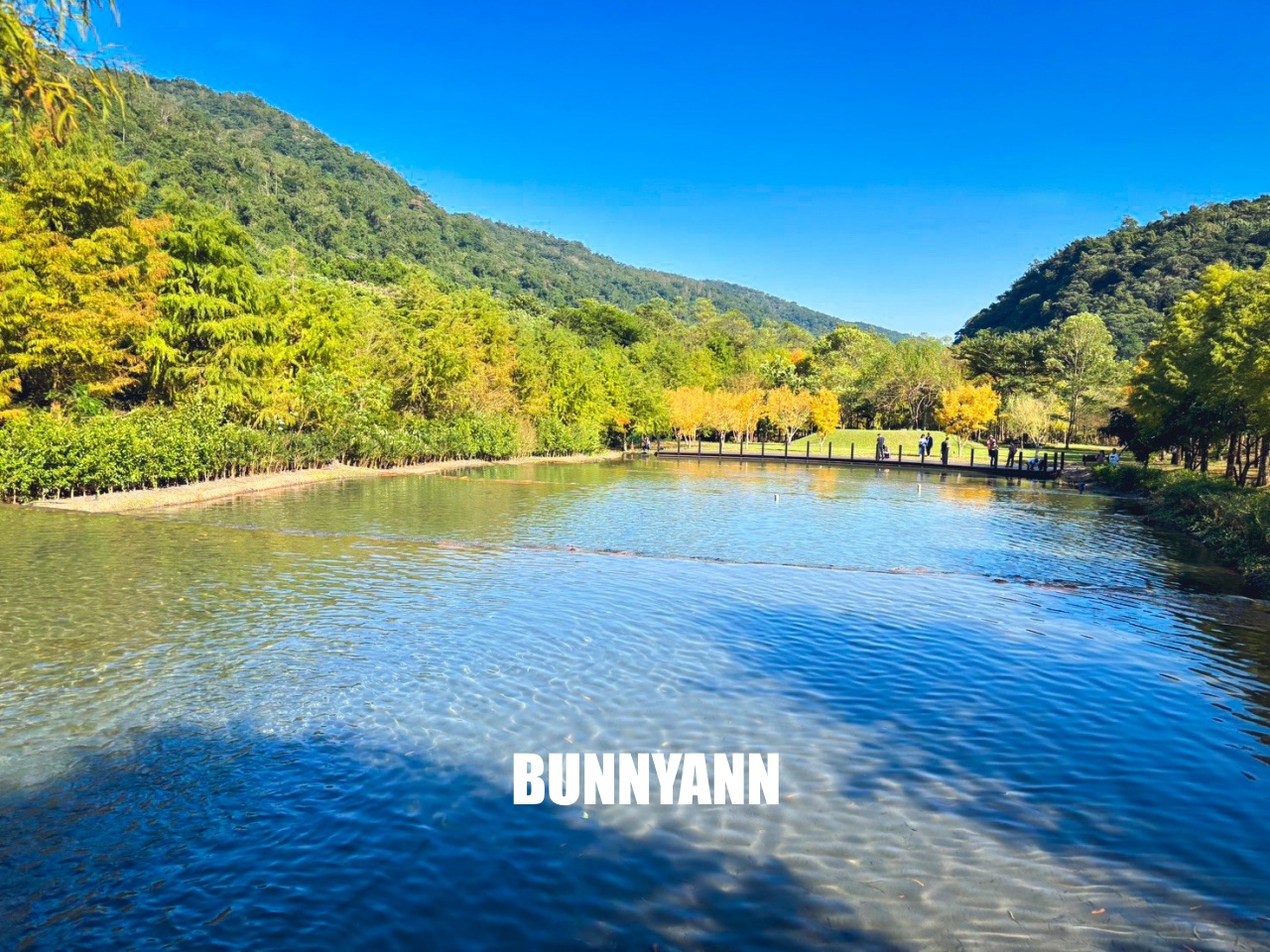 宜蘭「三層坪農塘教育園區」漫步階梯水塘落羽松小徑 宜蘭「三層坪農塘教育園區」漫步階梯水塘落羽松小徑