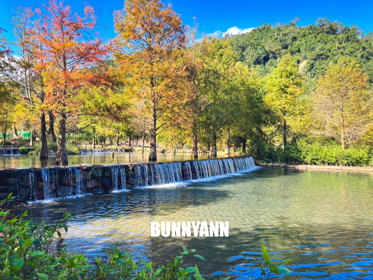 宜蘭「三層坪農塘教育園區」漫步階梯水塘落羽松小徑 宜蘭「三層坪農塘教育園區」漫步階梯水塘落羽松小徑