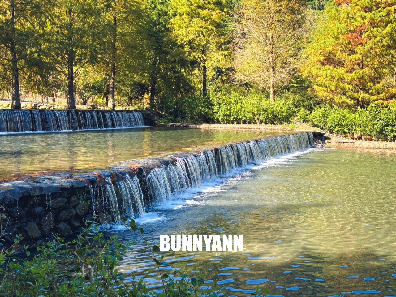 宜蘭「三層坪農塘教育園區」漫步階梯水塘落羽松小徑 宜蘭「三層坪農塘教育園區」漫步階梯水塘落羽松小徑