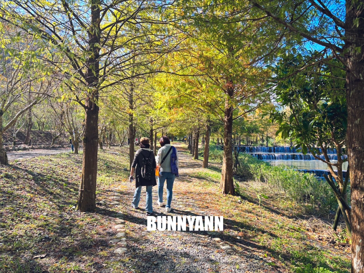 宜蘭「三層坪農塘教育園區」漫步階梯水塘落羽松小徑 宜蘭「三層坪農塘教育園區」漫步階梯水塘落羽松小徑