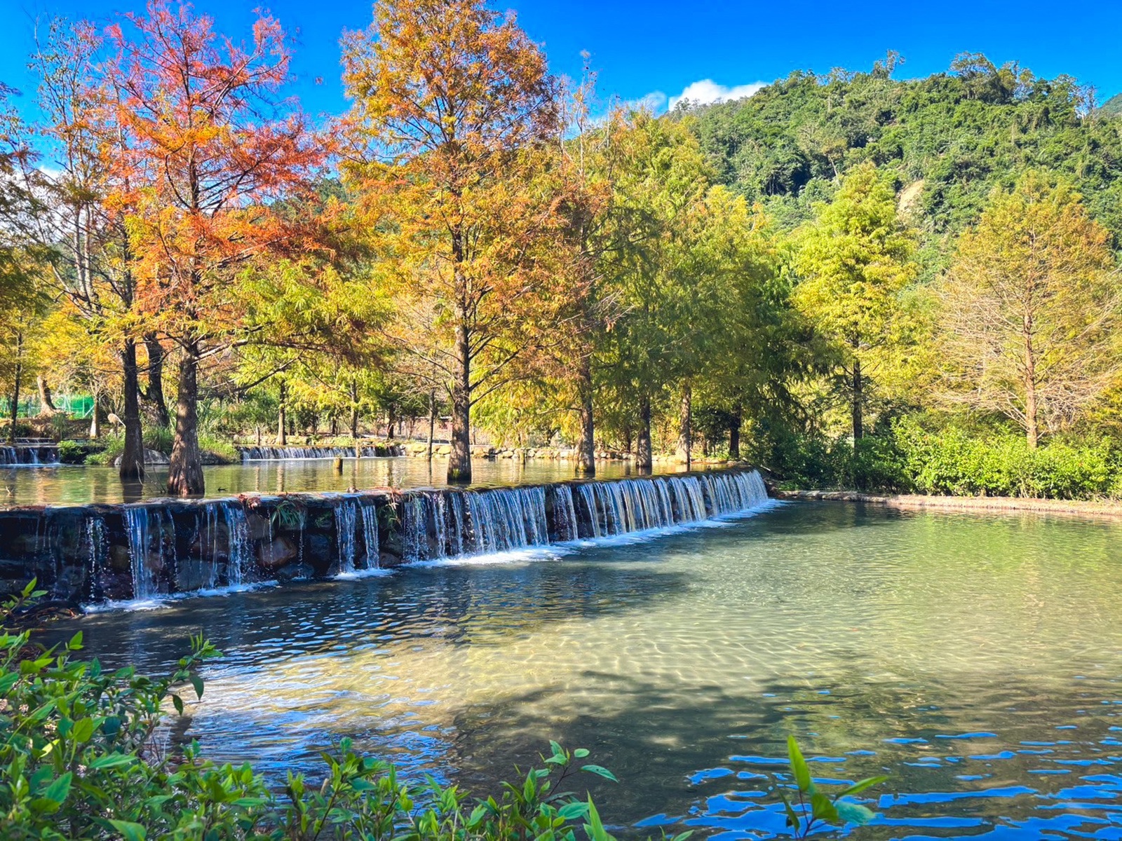 三層坪農塘教育園區 三層坪農塘教育園區