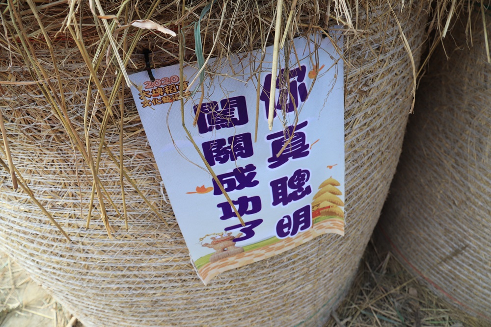 雲林》免費新景點！大埤稻草文化藝術季，全台最大稻草捲迷宮登場，600捆酥脆捲心酥療癒拍起來~