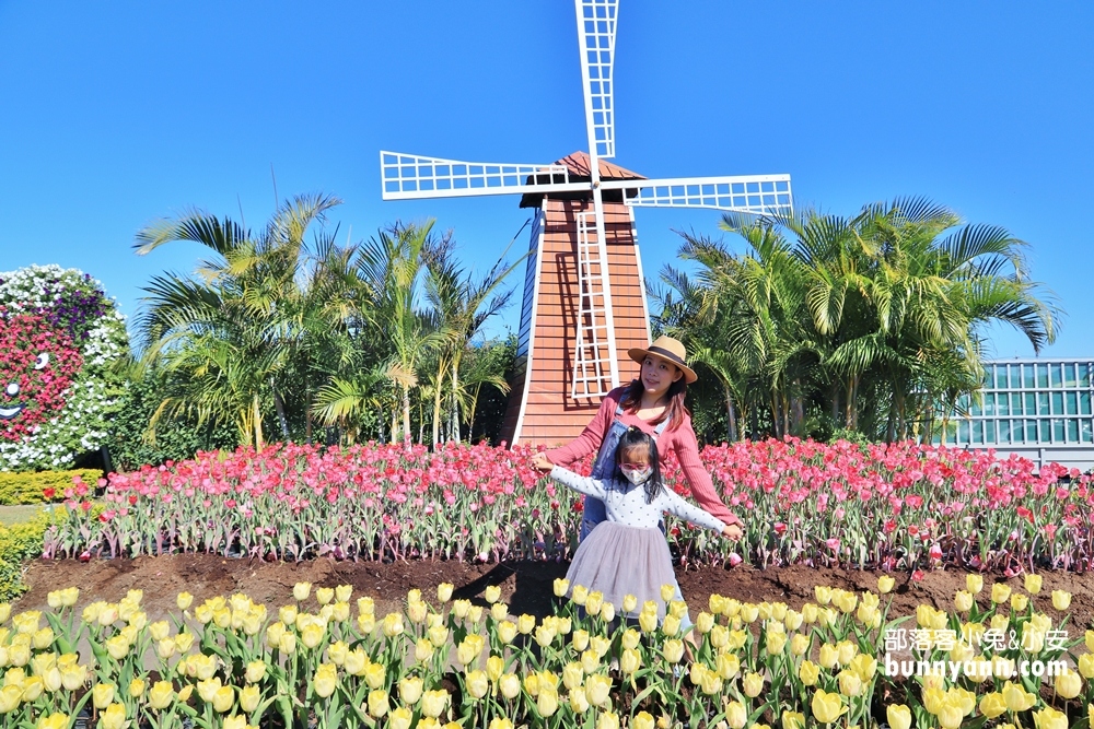 台中后里【中社觀光花市】有關於彩色花卉的夢幻花田