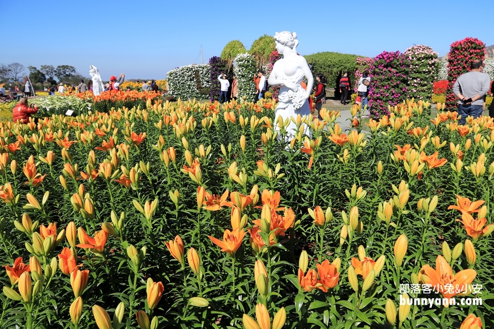 台中后里【中社觀光花市】有關於彩色花卉的夢幻花田