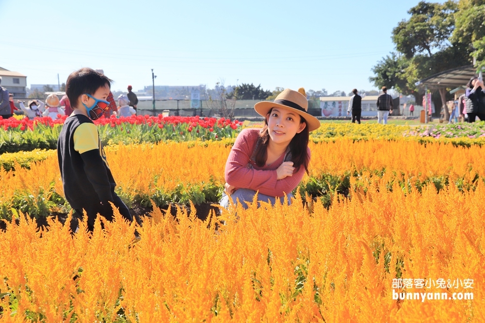 台中后里【中社觀光花市】有關於彩色花卉的夢幻花田