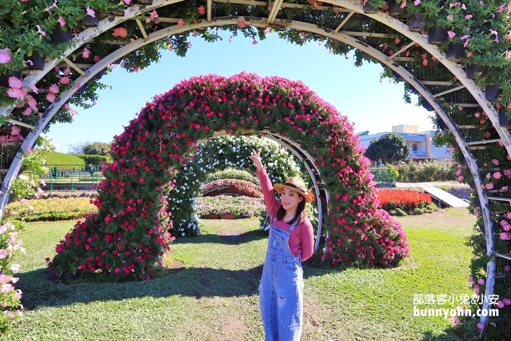 台中后里【中社觀光花市】有關於彩色花卉的夢幻花田