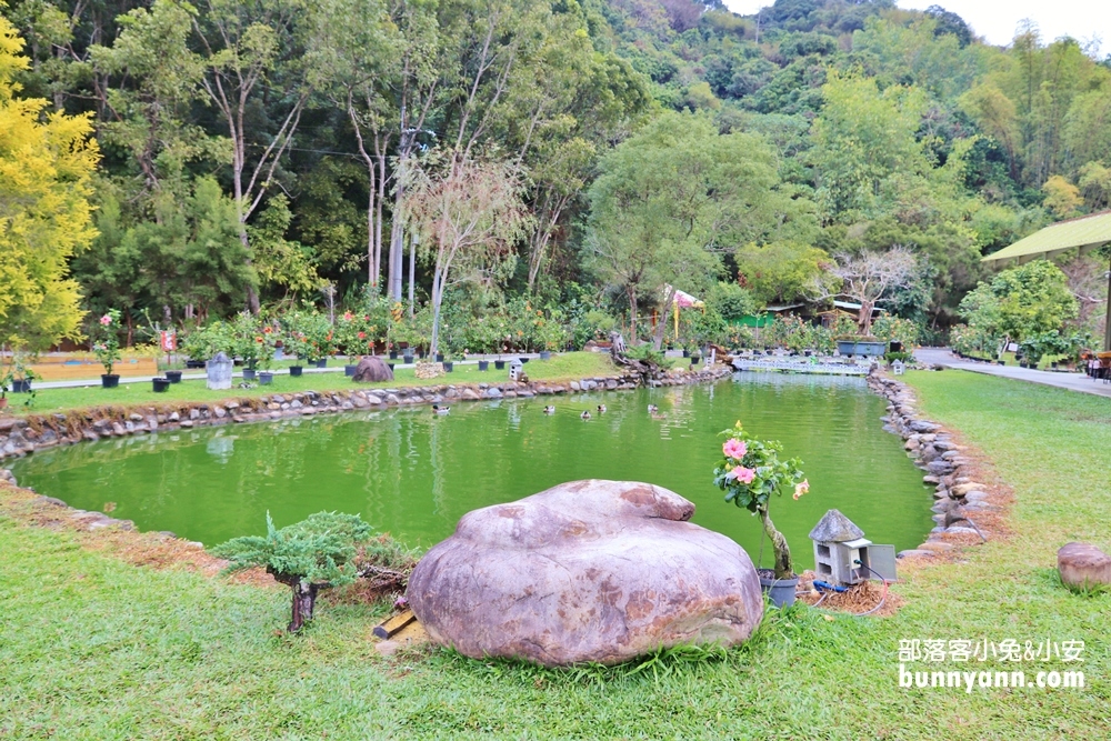 南投隱藏版「懶雲窩」扶桑花園區，美拍下午茶、踏青好愜意