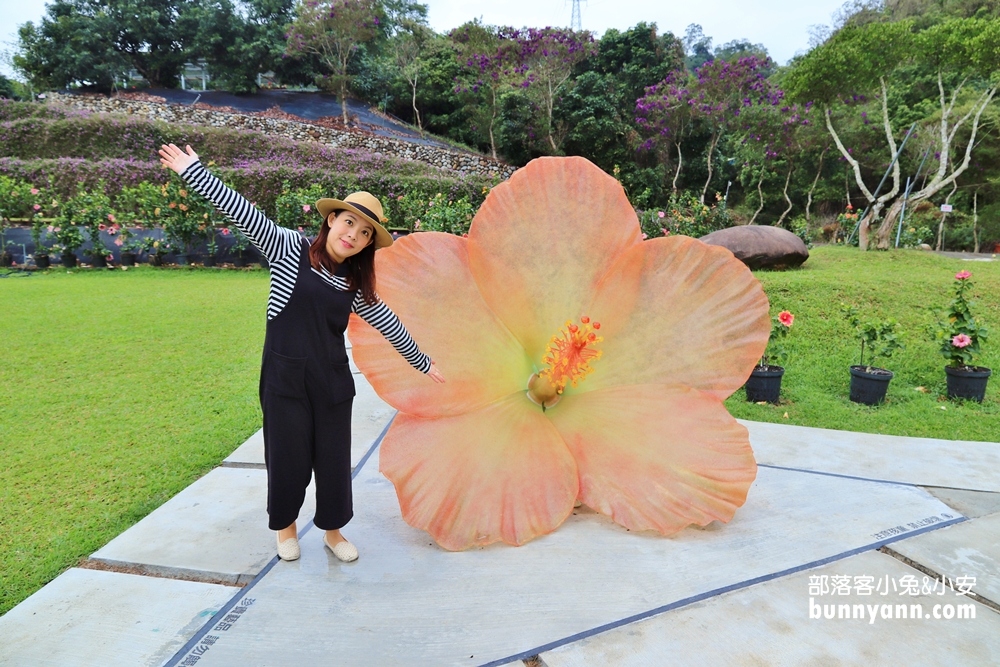 南投隱藏版「懶雲窩」扶桑花園區，美拍下午茶、踏青好愜意