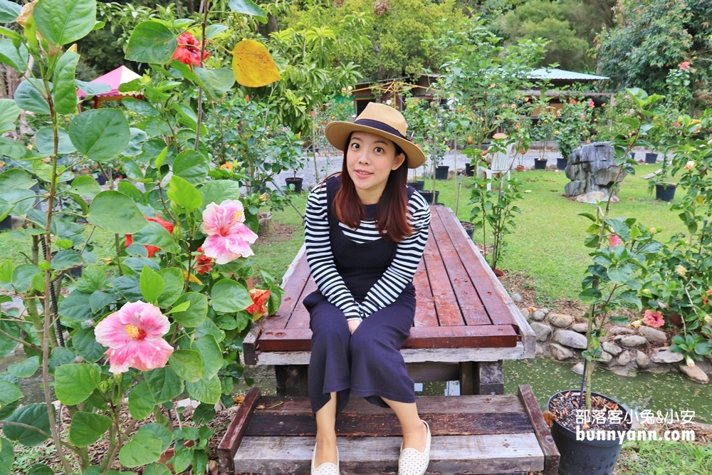 南投隱藏版「懶雲窩」扶桑花園區，美拍下午茶、踏青好愜意