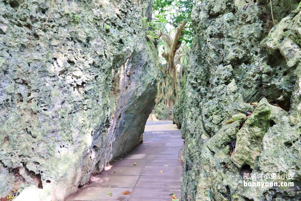 📍屏東【墾丁國家森林遊樂區】擁有天然海蝕洞步道的森林園區