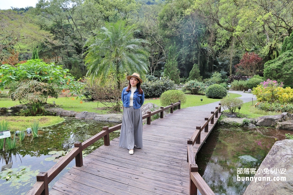 富源森林遊樂區，美麗蝴蝶谷森林好適合全家人一起來散步