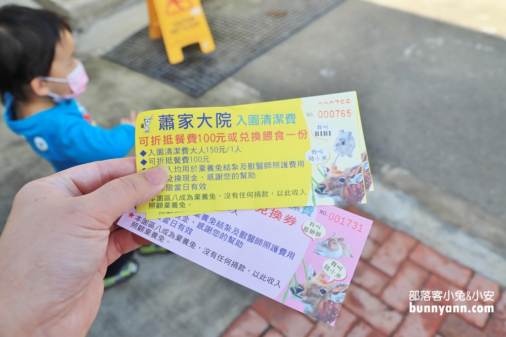 屏東景點》蕭家大院兔子親子餐廳，可愛兔兔陪你一起下午茶