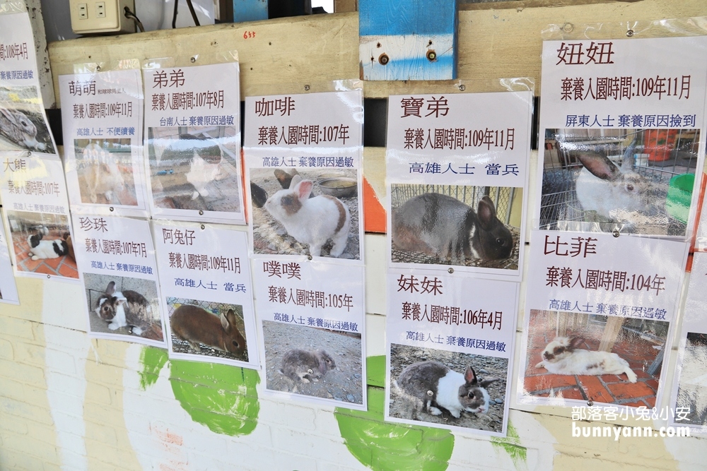 屏東景點》蕭家大院兔子親子餐廳，可愛兔兔陪你一起下午茶