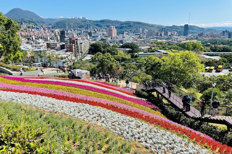 台北景點》最新小富良野花海！北投社三層崎公園私房賞花點，繽紛花毯鋪滿山丘～