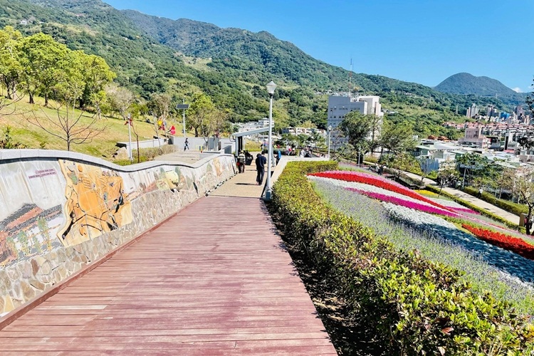 台北景點》最新小富良野花海！北投社三層崎公園私房賞花點，繽紛花毯鋪滿山丘～