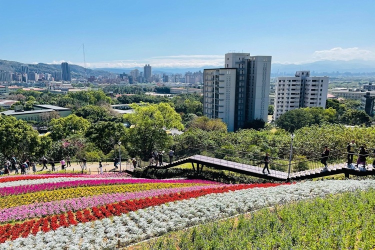 台北景點》最新小富良野花海！北投社三層崎公園私房賞花點，繽紛花毯鋪滿山丘～