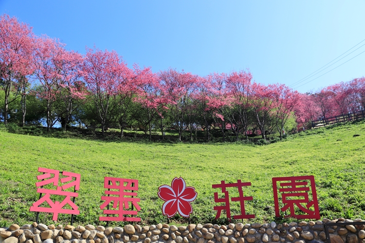 翠墨莊園｜桃園森林系小旅行，美拍鳥居地藏神社。