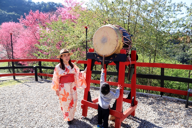 翠墨莊園｜桃園森林系小旅行，美拍鳥居地藏神社。