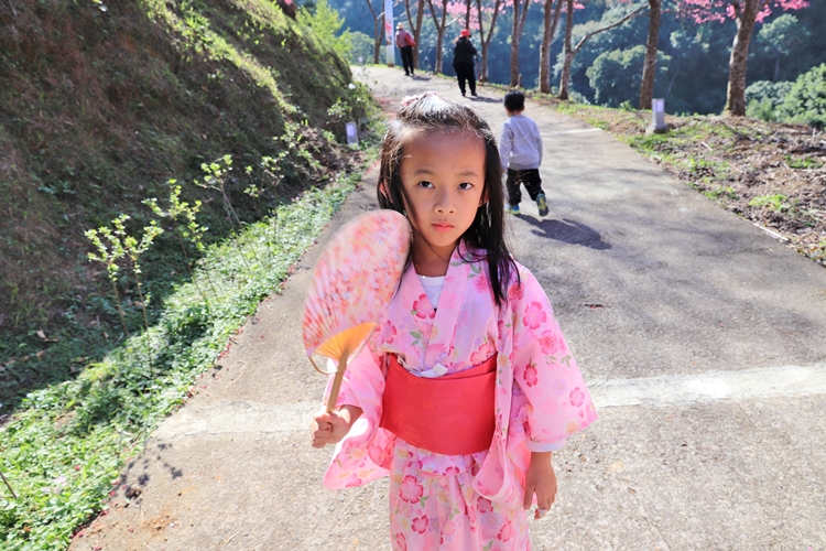 翠墨莊園｜桃園森林系小旅行，美拍鳥居地藏神社。