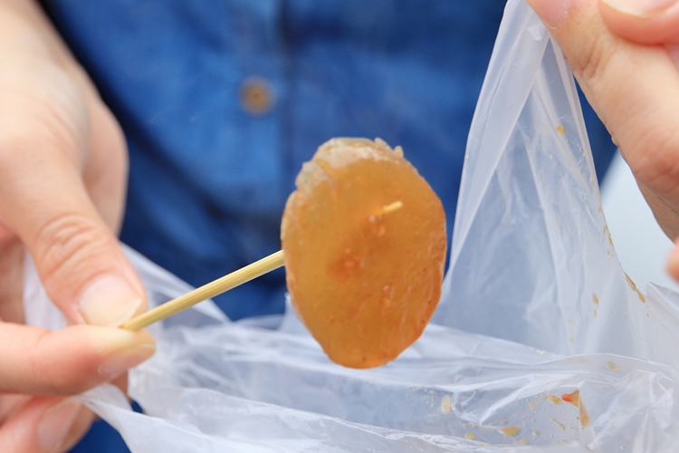 大甲美食康家阿媽ㄟ粉腸