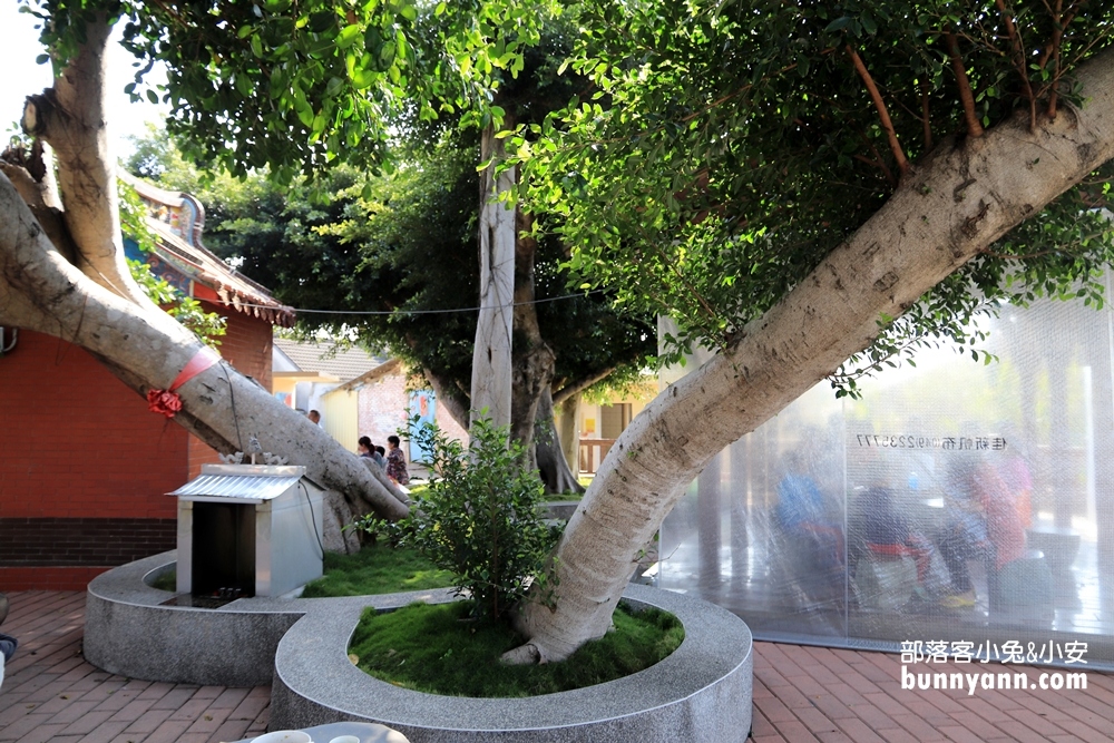 彰化泡麵土地公超強大！芬園福榕宮，免費泡麵隨你吃，香氣四溢，百姓最愛的神奇美味！