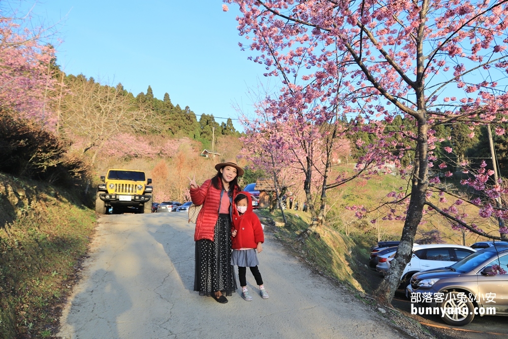 新竹戶外景點》山上人家森林農場，門票費用與一日遊這樣玩