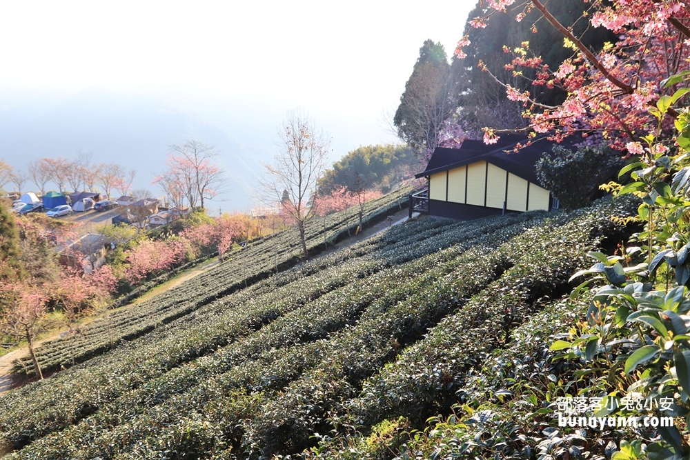 新竹戶外景點》山上人家森林農場，門票費用與一日遊這樣玩