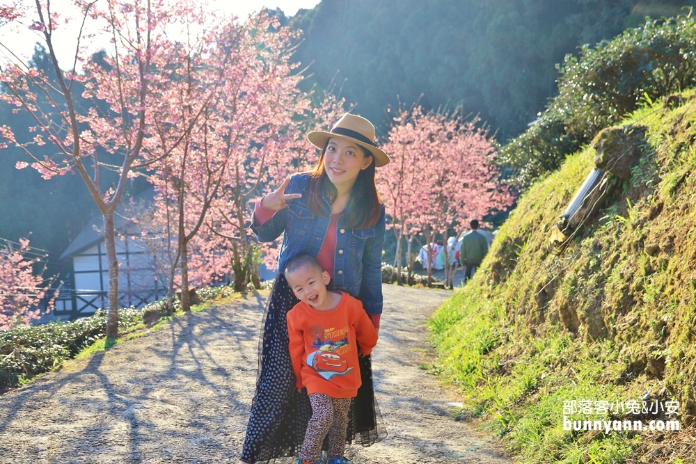 新竹戶外景點》山上人家森林農場，門票費用與一日遊這樣玩