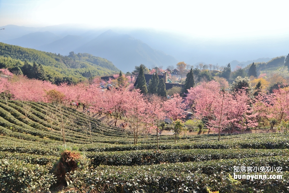 新竹戶外景點》山上人家森林農場，門票費用與一日遊這樣玩