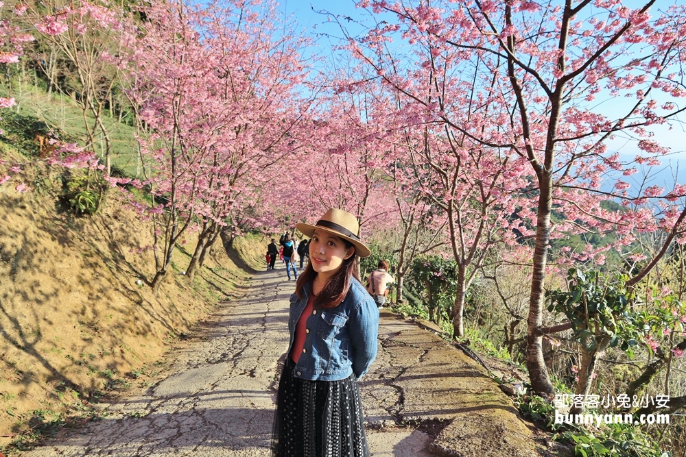 新竹戶外景點》山上人家森林農場，門票費用與一日遊這樣玩