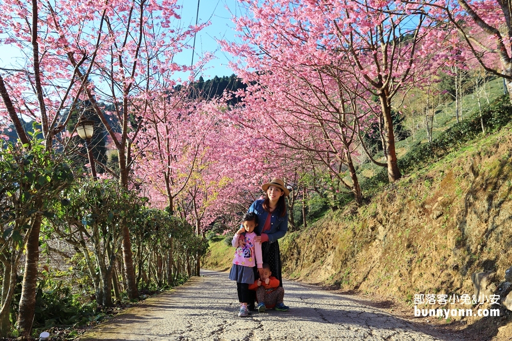 新竹戶外景點》山上人家森林農場，門票費用與一日遊這樣玩