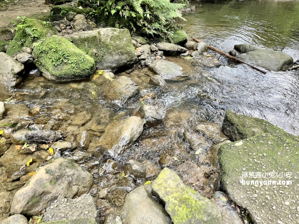 新北【望古瀑布】環境優美、交通便利，漫步約十分鐘即可抵達瀑布