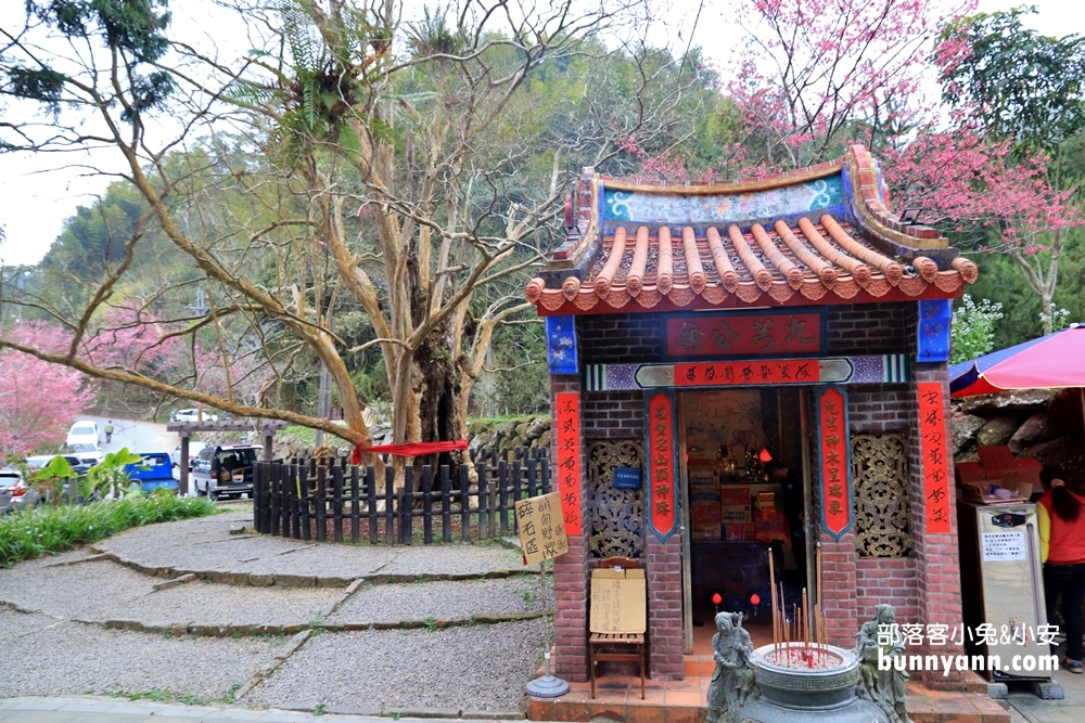【石壁九芎公廟】雲林泡麵九芎公（九芎神木）廟內泡麵隨你吃