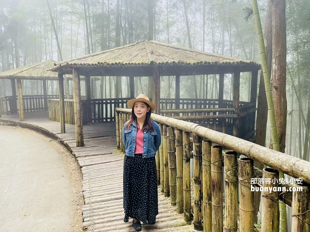 雲林草嶺【五元兩角】台版小京都嵐山竹林，走進美麗竹林隧道