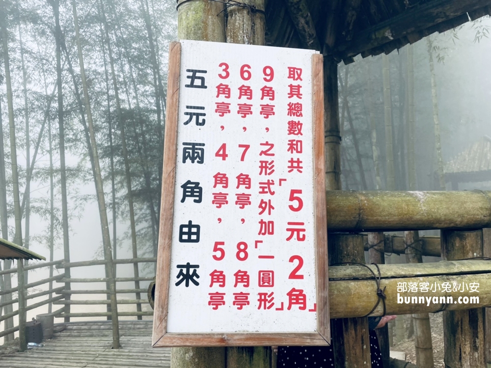 雲林草嶺【五元兩角】台版小京都嵐山竹林，走進美麗竹林隧道
