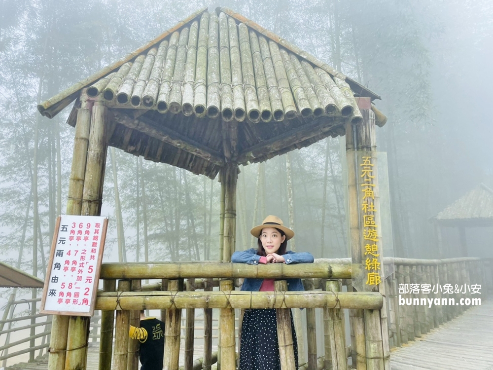 雲林草嶺【五元兩角】台版小京都嵐山竹林，走進美麗竹林隧道