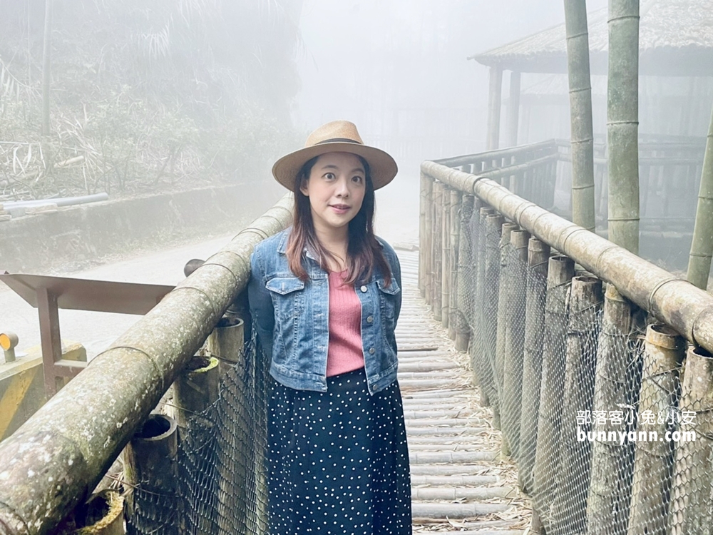 雲林草嶺【五元兩角】台版小京都嵐山竹林，走進美麗竹林隧道