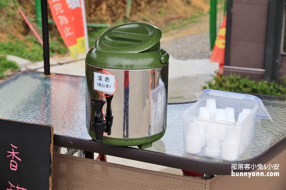 雲林山丘秘境【雲嶺之丘】5分鐘漫步翠綠茶園，無死角視野超美