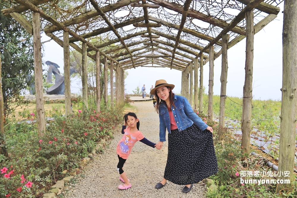 雲林山丘秘境【雲嶺之丘】5分鐘漫步翠綠茶園，無死角視野超美