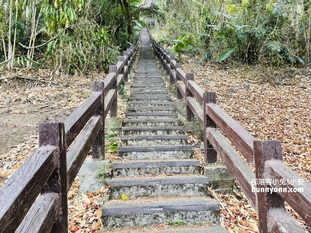 雲林》來當壁虎！草嶺峭壁雄風和小天梯，挑戰陡峭斜壁攻頂，漫遊草嶺十景之一
