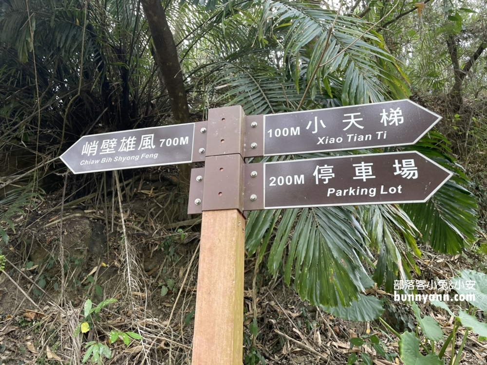 雲林》來當壁虎！草嶺峭壁雄風和小天梯，挑戰陡峭斜壁攻頂，漫遊草嶺十景之一