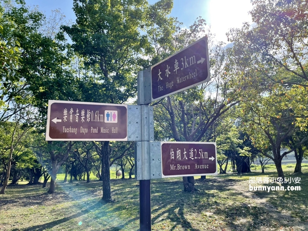 台東明信片場景【池上大坡池】騎單車遊湖，踏青放鬆好愜意