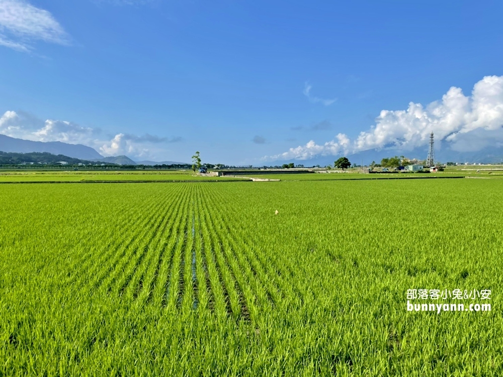 台東明信片場景【池上大坡池】騎單車遊湖，踏青放鬆好愜意