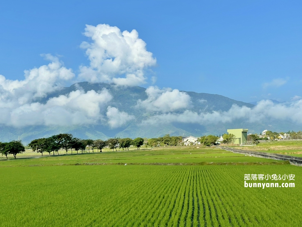 台東明信片場景【池上大坡池】騎單車遊湖，踏青放鬆好愜意