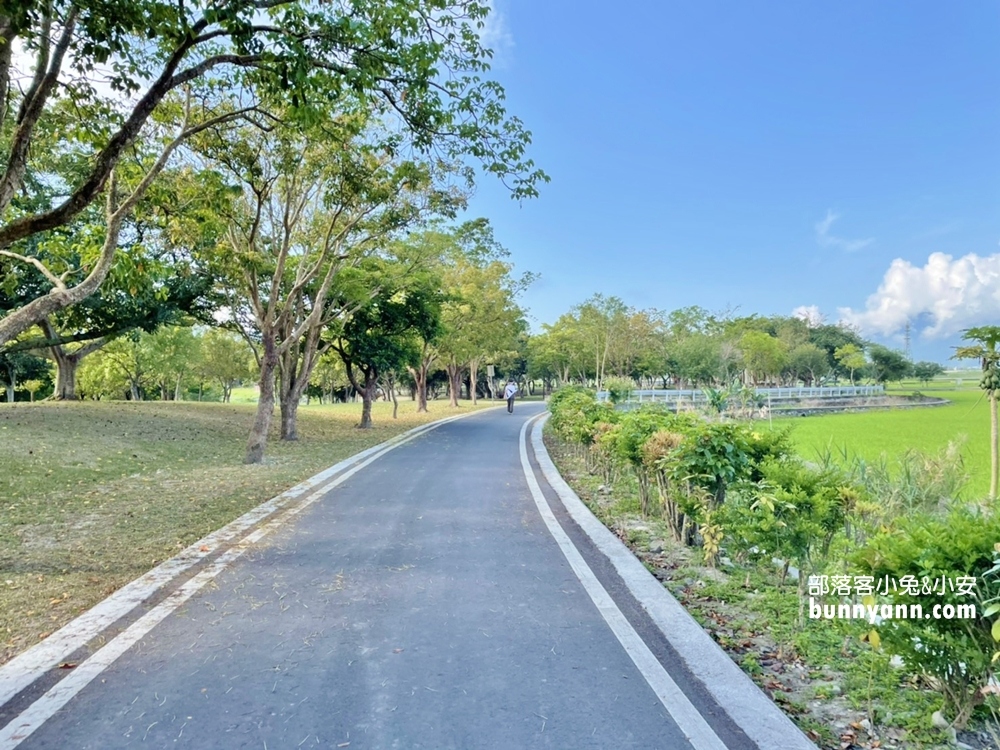 台東明信片場景【池上大坡池】騎單車遊湖，踏青放鬆好愜意