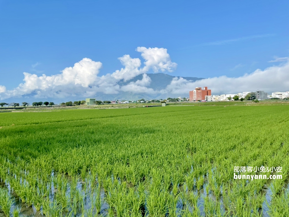台東明信片場景【池上大坡池】騎單車遊湖，踏青放鬆好愜意